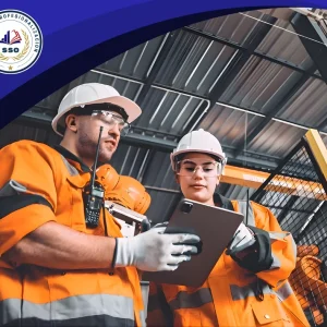 Salud y Seguridad Ocupacional-80horas