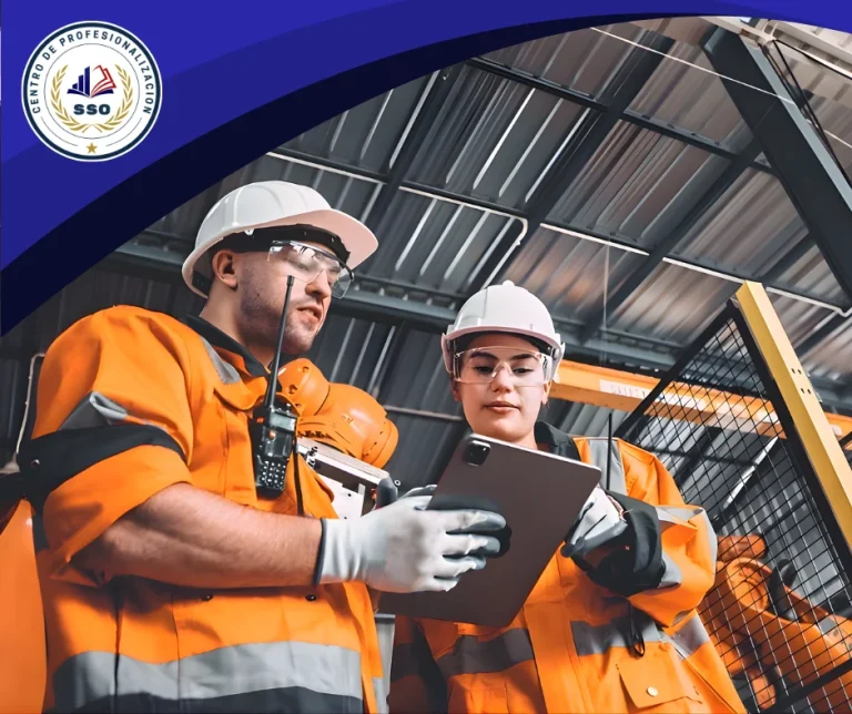 Salud y Seguridad Ocupacional-80horas